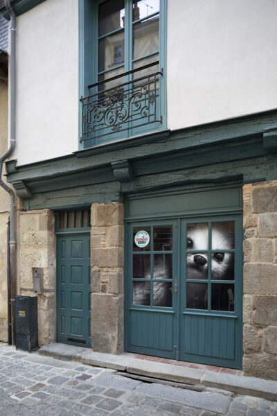 vitrine commerce 17 rue Saint Georges réhabilité rennes